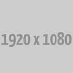 المعرض الثاني